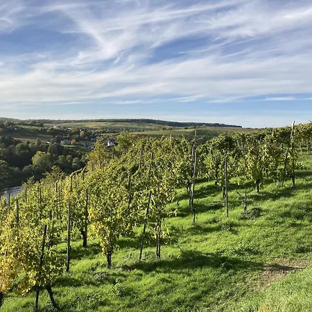 Apartment Moselle Charm In Ediger-eller, Cleaning Included Ediger-Eller